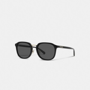 Black Men Coach Rounded Geometric Sunglasses | MY_CH91958