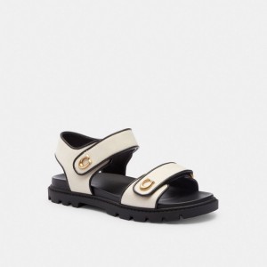 Black Women Coach Brynn Chalk Sandals | MY_CH14313