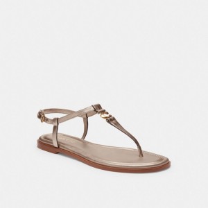 Brown Women Coach Jessica Champagne Sandals | MY_CH87351