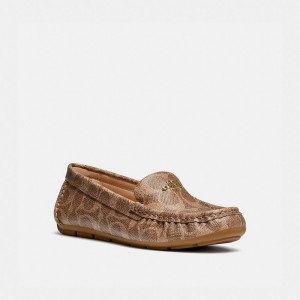 Brown Women Coach Marley Driver Loafers | MY_CH81842