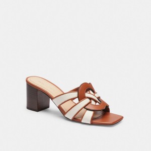 Brown Women Coach Nikki Chalk Burnished Amber Sandals | MY_CH40649