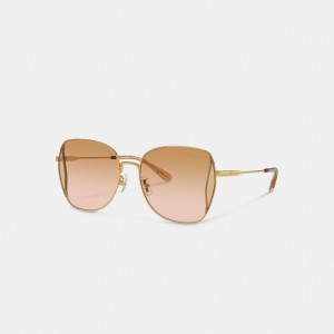 Coral Pink Women Coach Oversized Butterfly Peach Blush Sunglasses | MY_CH11152