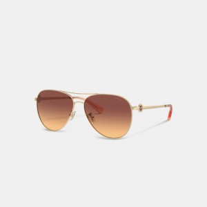 Dark Brown Women Coach Metal Aviator Sunglasses | MY_CH33932