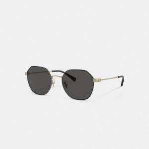 Gold Black Men Coach Hinged Geometric Round Sunglasses | MY_CH77365