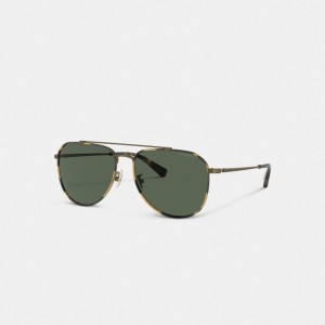 Gold Men Coach Metal Windsor Pilot Sunglasses | MY_CH25575