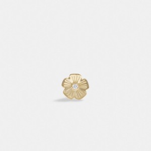 Gold Women Coach 14 K Tea Single Stud Earrings | MY_CH67866