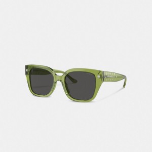 Green Women Coach Charms Oversized Square Sunglasses | MY_CH78137