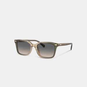 Green / Brown Men Coach Narrow Square Sunglasses | MY_CH95220