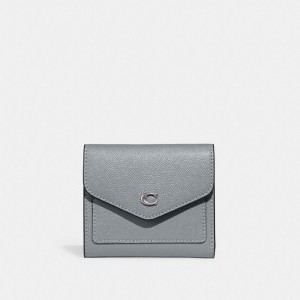 Grey Blue Women Coach Wyn Leather Small Wallets | MY_CH43259