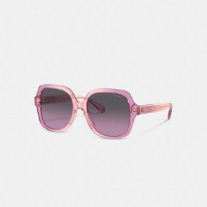 Pink Purple Women Coach Signature Ombré Oversized Square Sunglasses | MY_CH51169