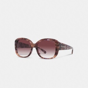 Purple Women Coach Signature Oversized Square Sunglasses | MY_CH92032