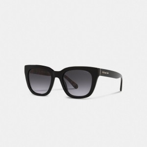 Stripes Black Women Coach Legacy Stripe Square Sunglasses | MY_CH84905