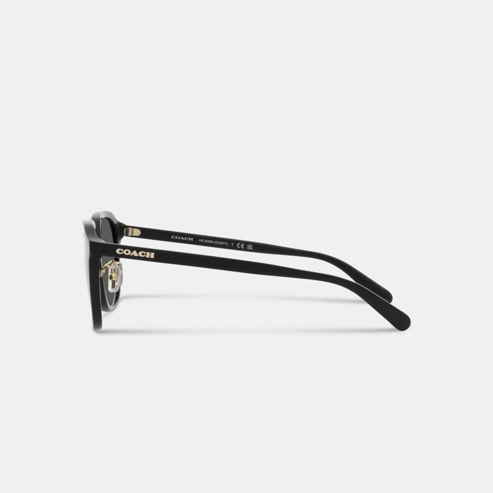 Black Men Coach Rounded Geometric Sunglasses | MY_CH91958