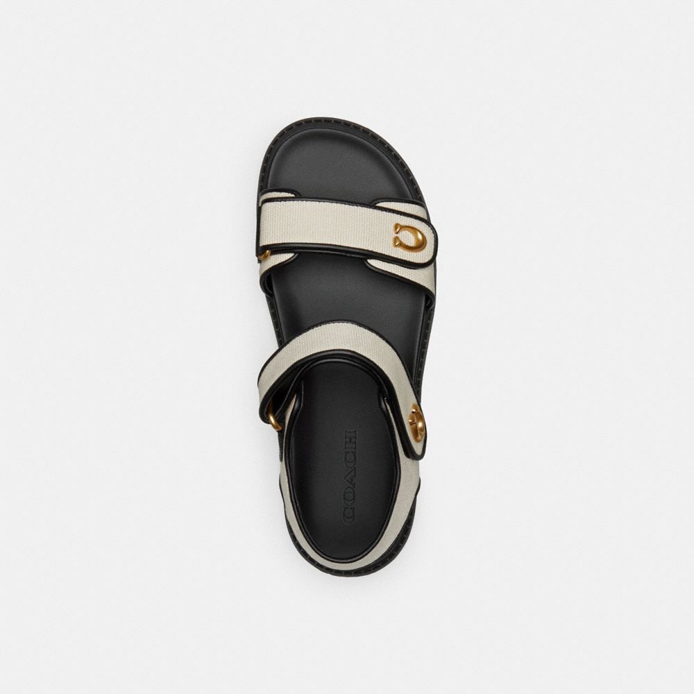 Black Women Coach Brynn Chalk Sandals | MY_CH14313