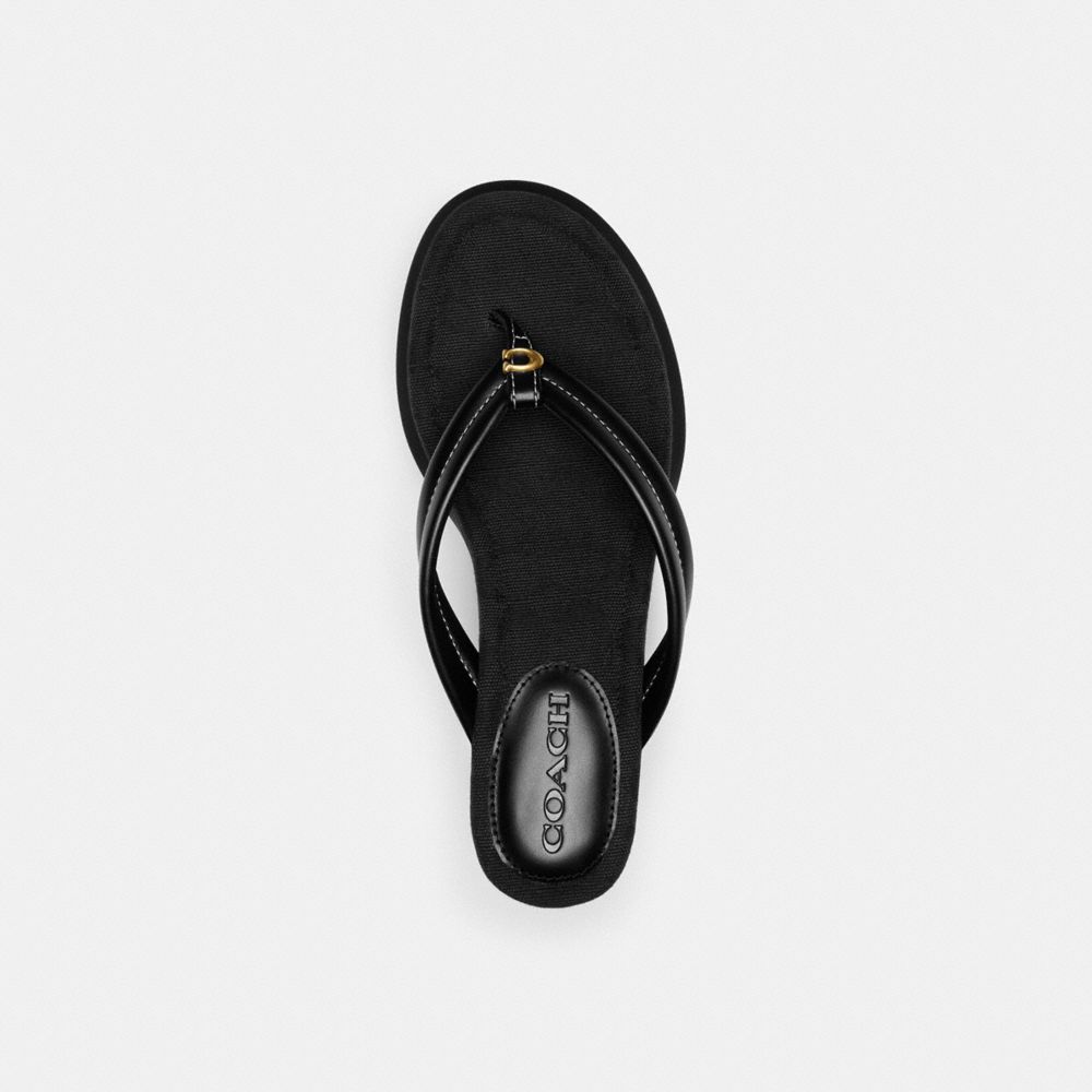 Black Women Coach Franki Flip Flop In Signature Jacquard Sandals | MY_CH50774