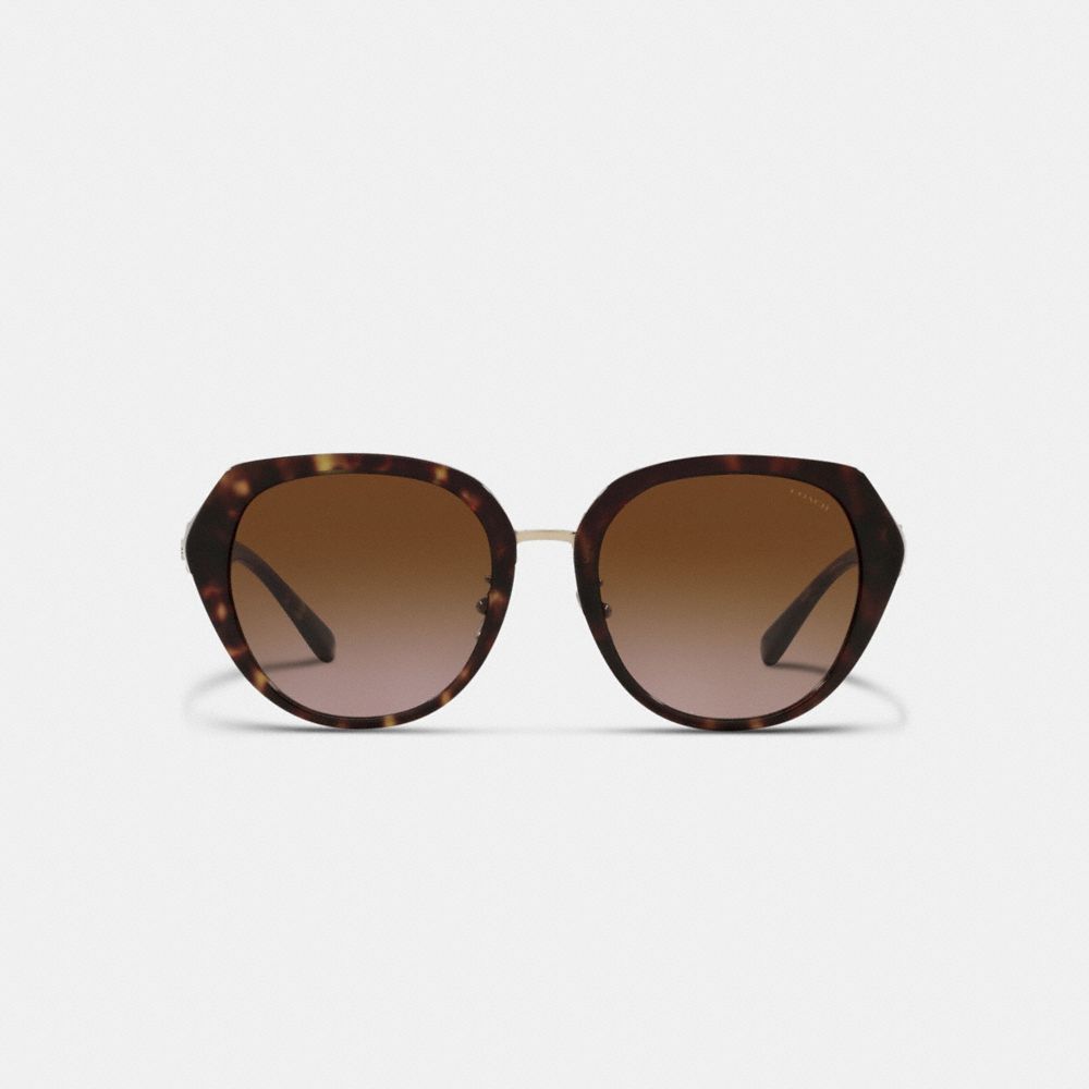 Black Women Coach Horse And Carriage Oversized Round Sunglasses | MY_CH93328