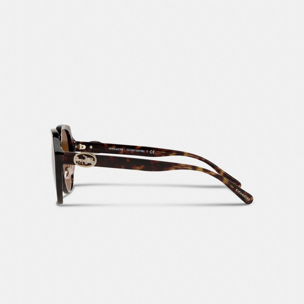 Black Women Coach Horse And Carriage Oversized Round Sunglasses | MY_CH93328