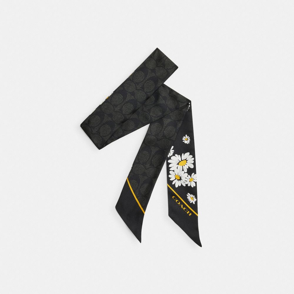 Black Women Coach Signature Daisy Cluster Print Silk Skinny Scarf | MY_CH97172