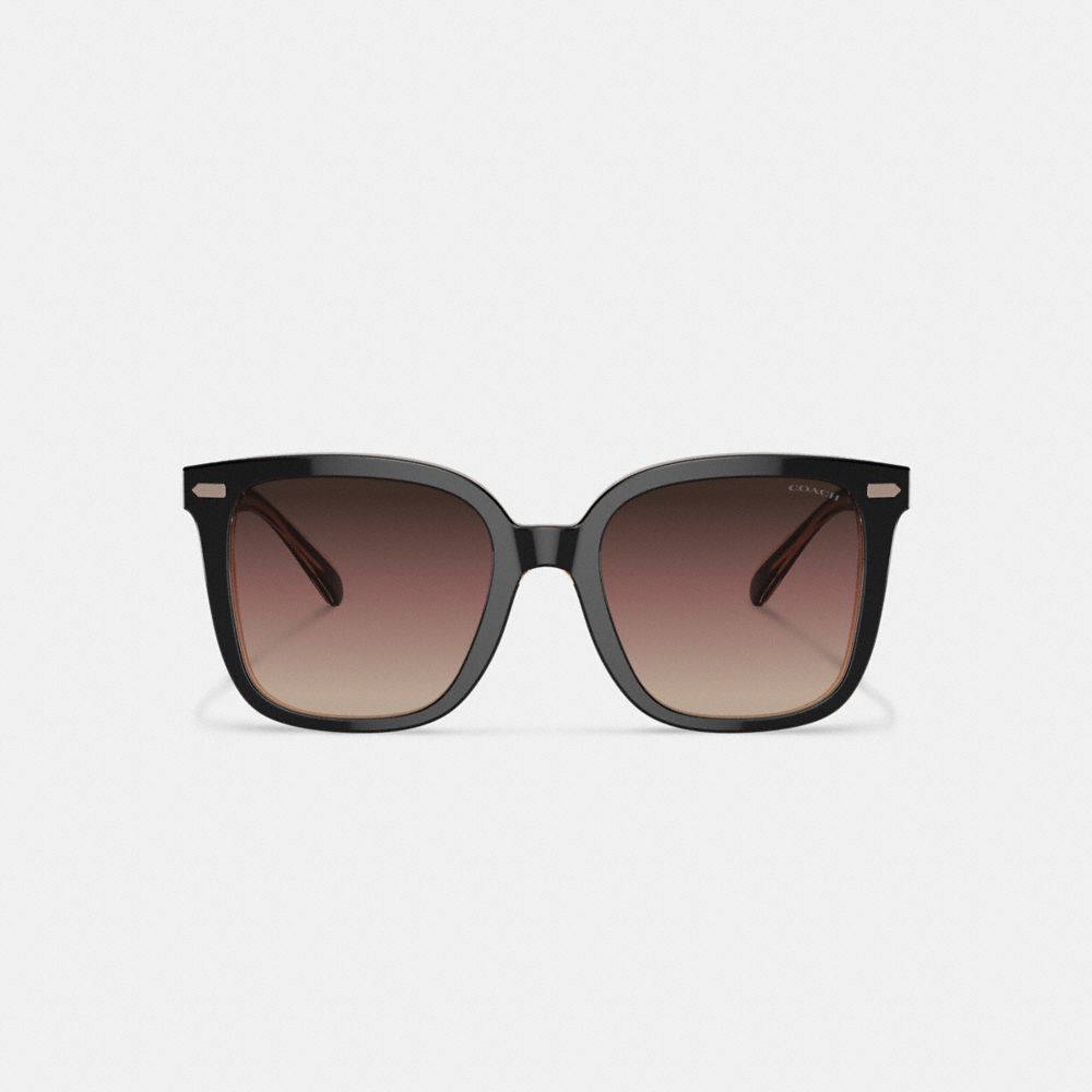 Black / Pink Women Coach Beveled Signature Oversized Square Sunglasses | MY_CH19741