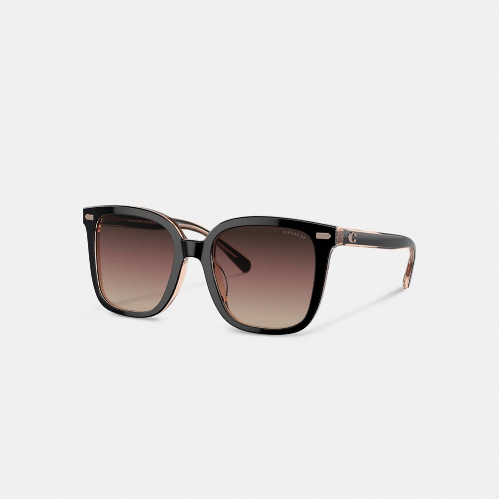 Black / Pink Women Coach Beveled Signature Oversized Square Sunglasses | MY_CH19741