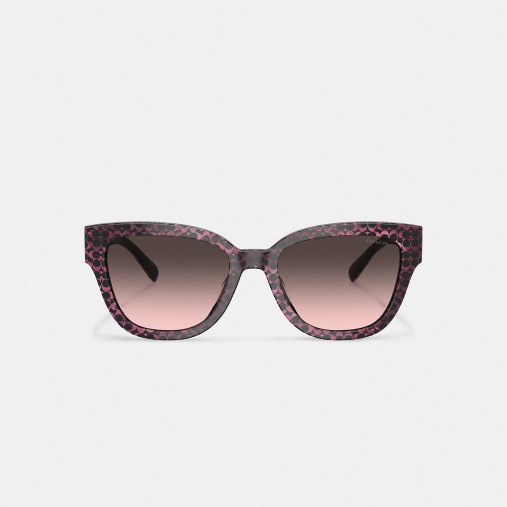 Brown Women Coach Signature Round Ruby Pearlized Signature Sunglasses | MY_CH83152