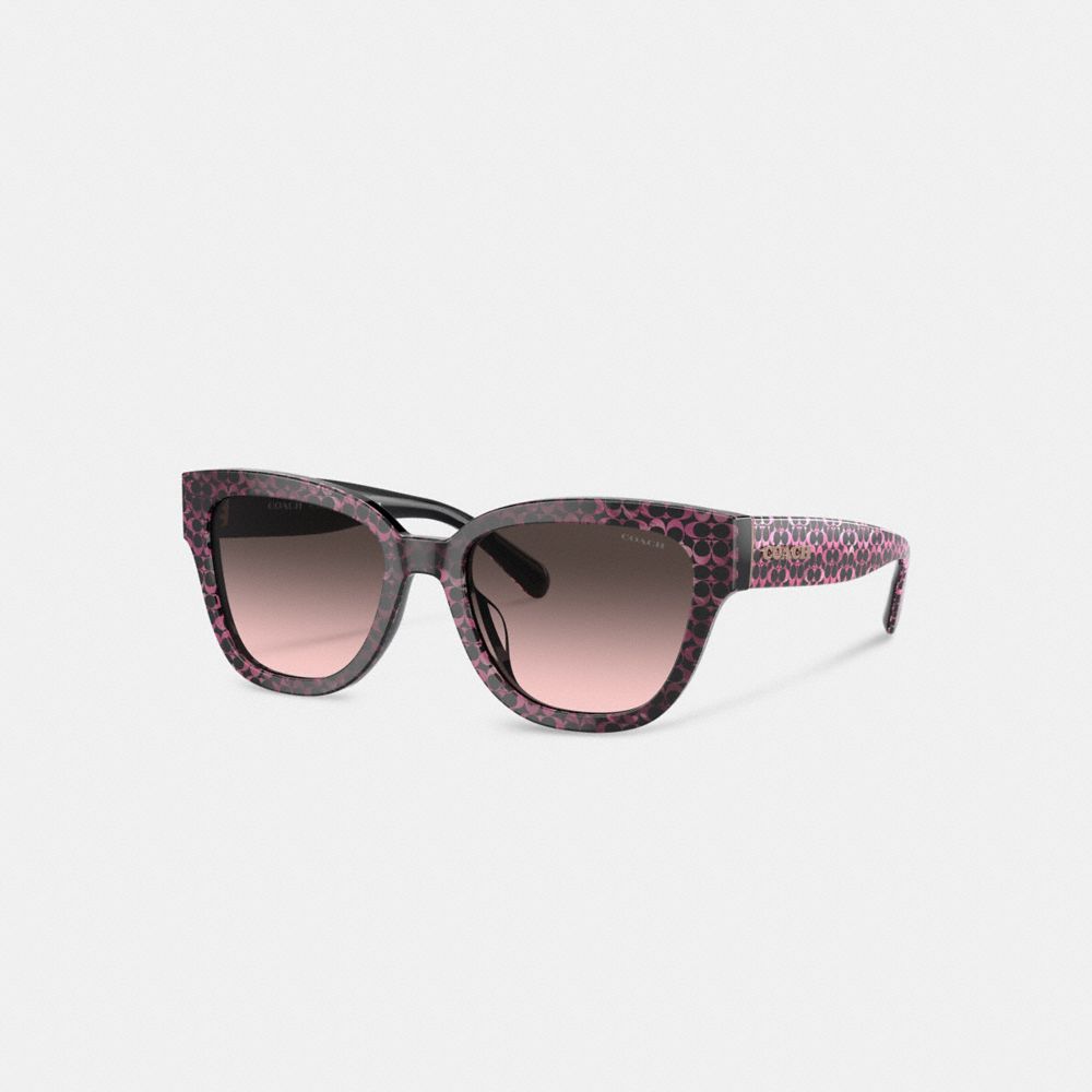 Brown Women Coach Signature Round Ruby Pearlized Signature Sunglasses | MY_CH83152