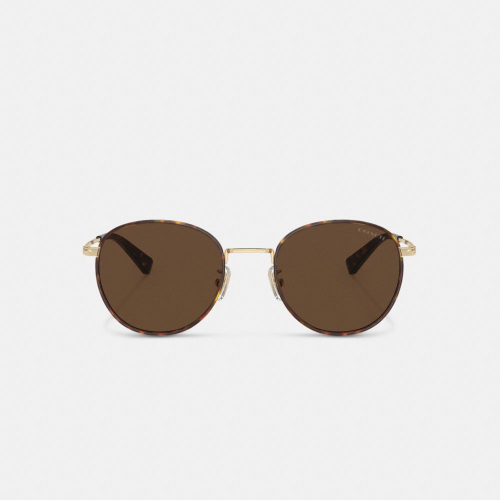 Brown / Gold Men Coach Metal Windsor Round Sunglasses | MY_CH89530