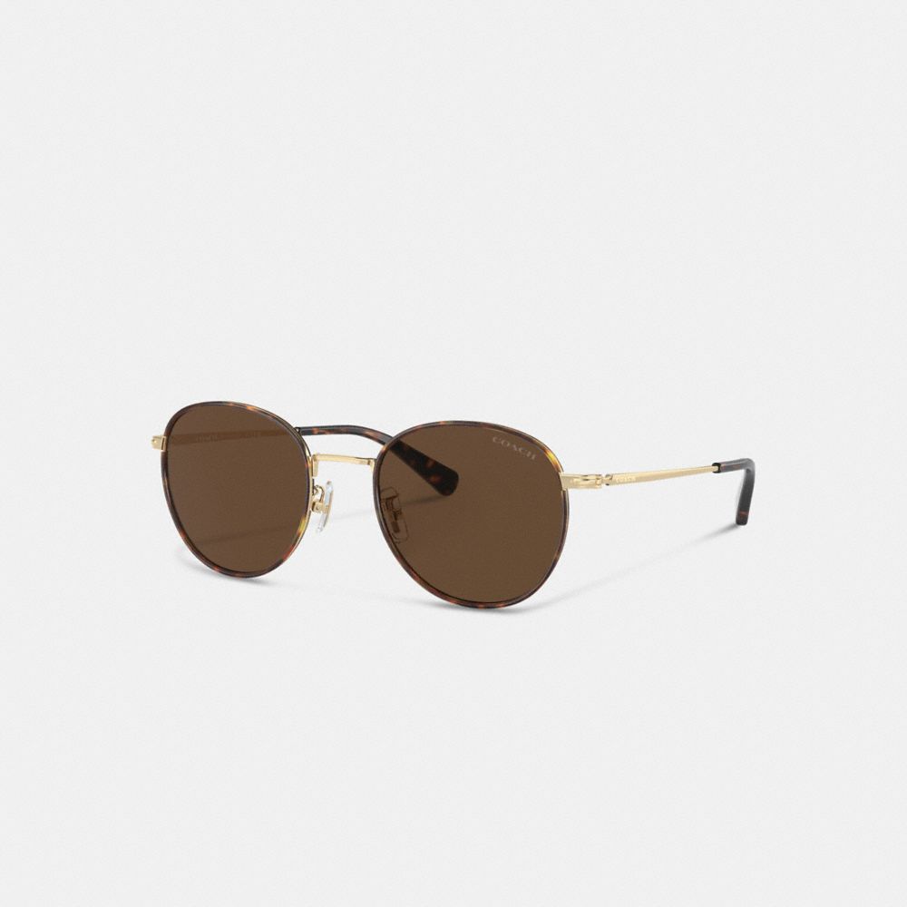 Brown / Gold Men Coach Metal Windsor Round Sunglasses | MY_CH89530