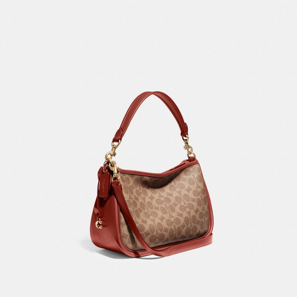 Brown / Red Women Coach Cary In Signature Crossbody Bags | MY_CH24064