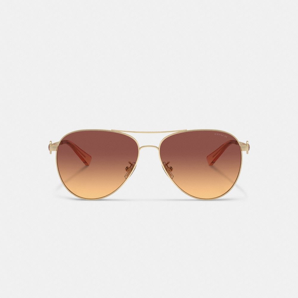 Dark Brown Women Coach Metal Aviator Sunglasses | MY_CH33932