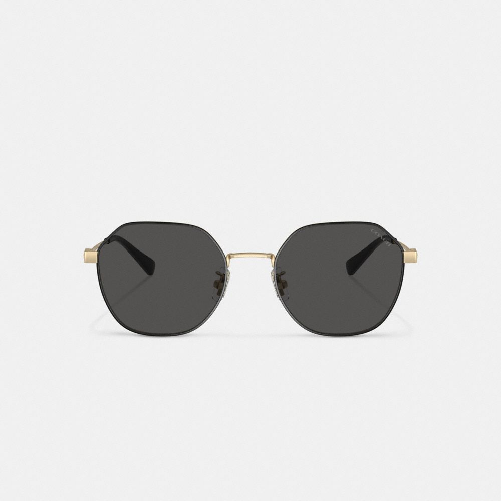 Gold Black Men Coach Hinged Geometric Round Sunglasses | MY_CH77365