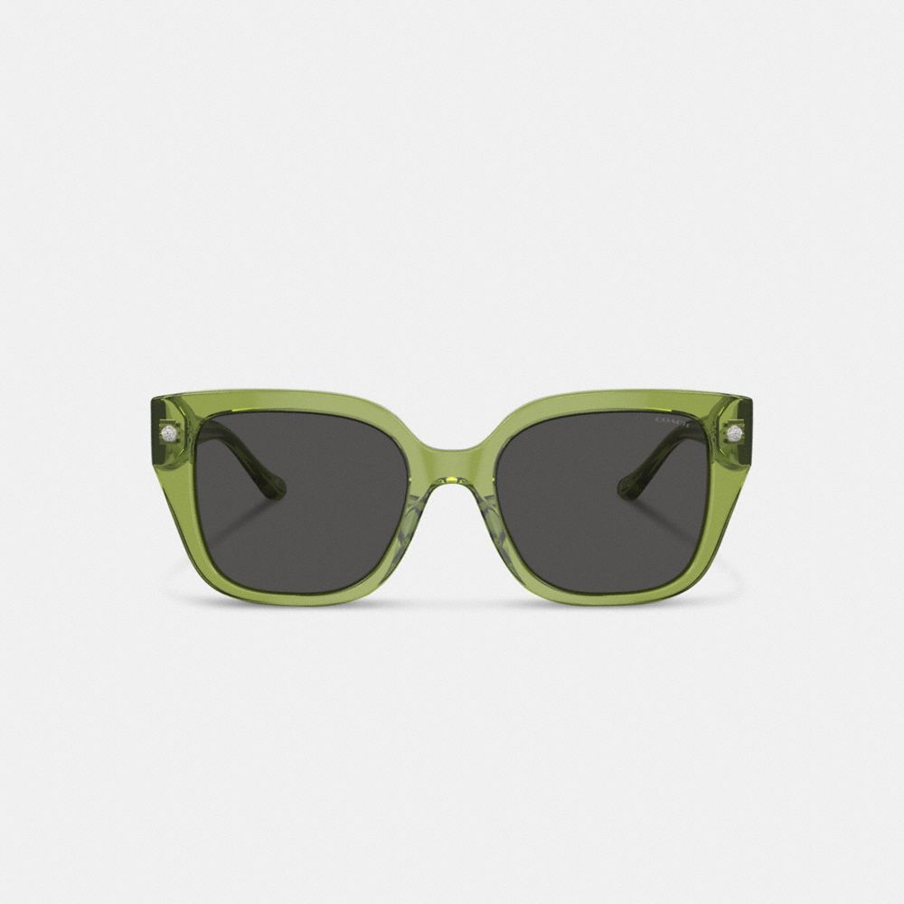 Green Women Coach Charms Oversized Square Sunglasses | MY_CH78137