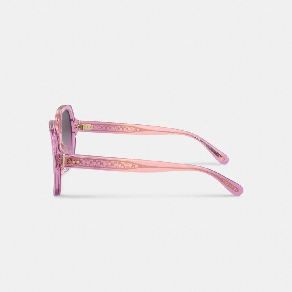 Pink Purple Women Coach Signature Ombré Oversized Square Sunglasses | MY_CH51169